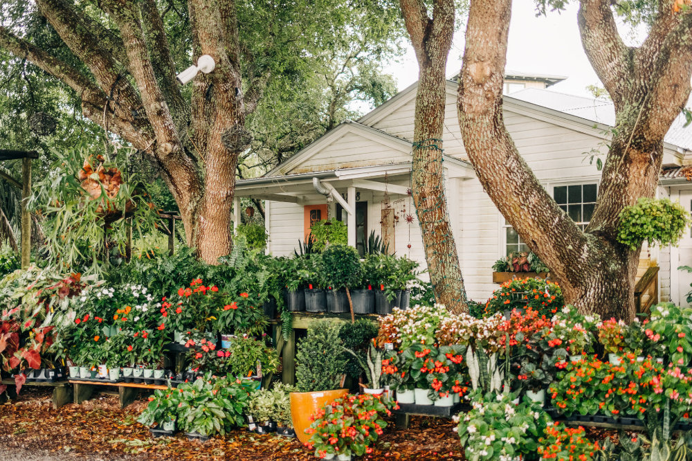 Clay Garden and Gifts