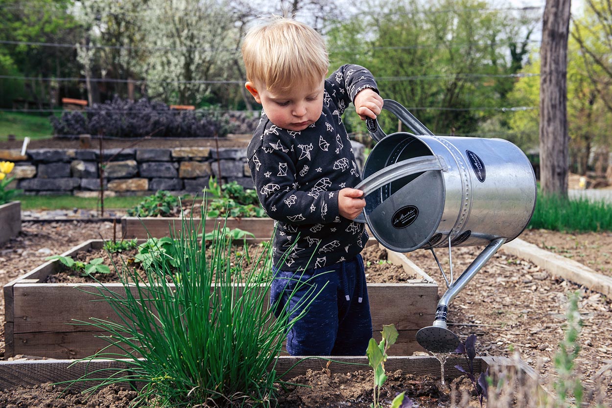 boy watering a raised garden