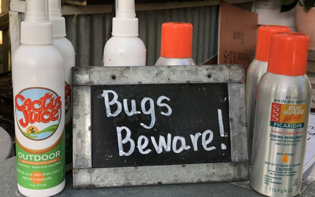 Bugs Beware